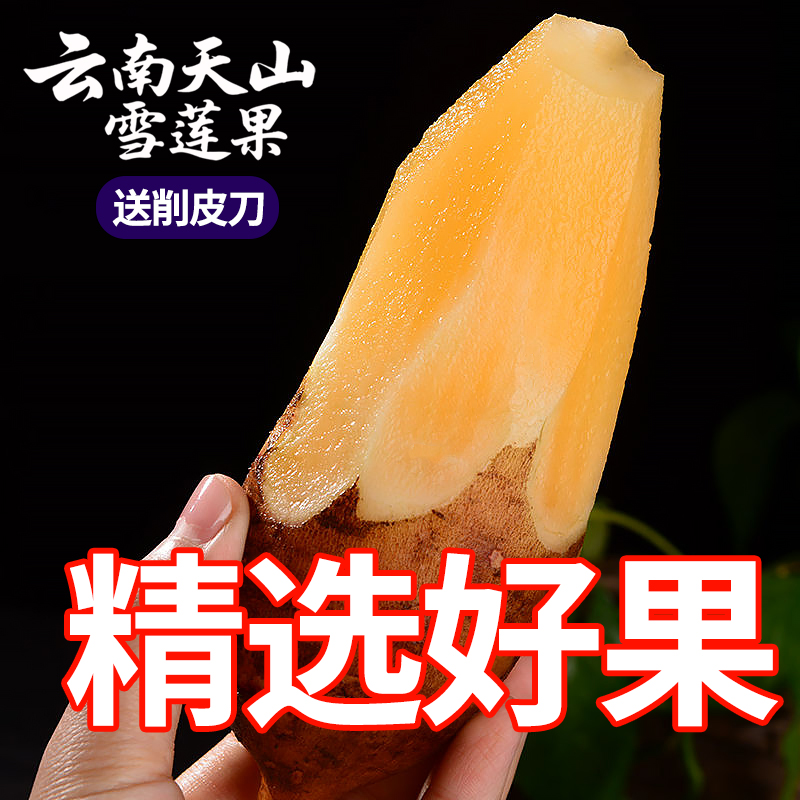 云南天山雪莲果头茬新鲜水果脆甜多汁红心黄心应季