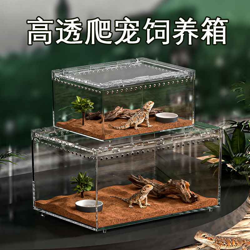 爬宠饲养盒亚克力守宫角蛙蜘蛛蜗牛甲虫生态缸透明爬虫饲养箱套装