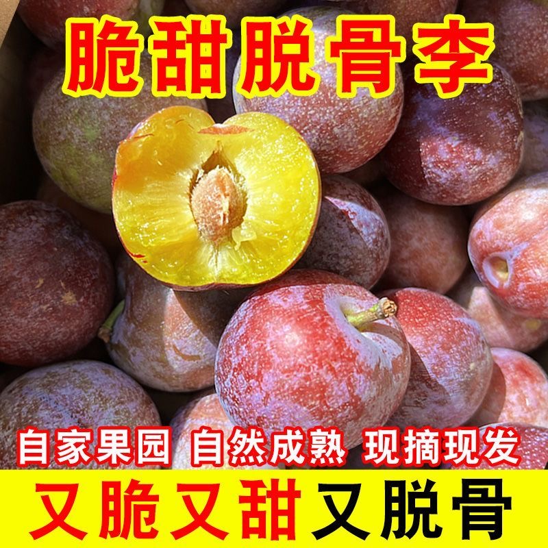 四川高山新鲜现摘脆红李脱骨黄肉脆甜多汁爽口应季水果