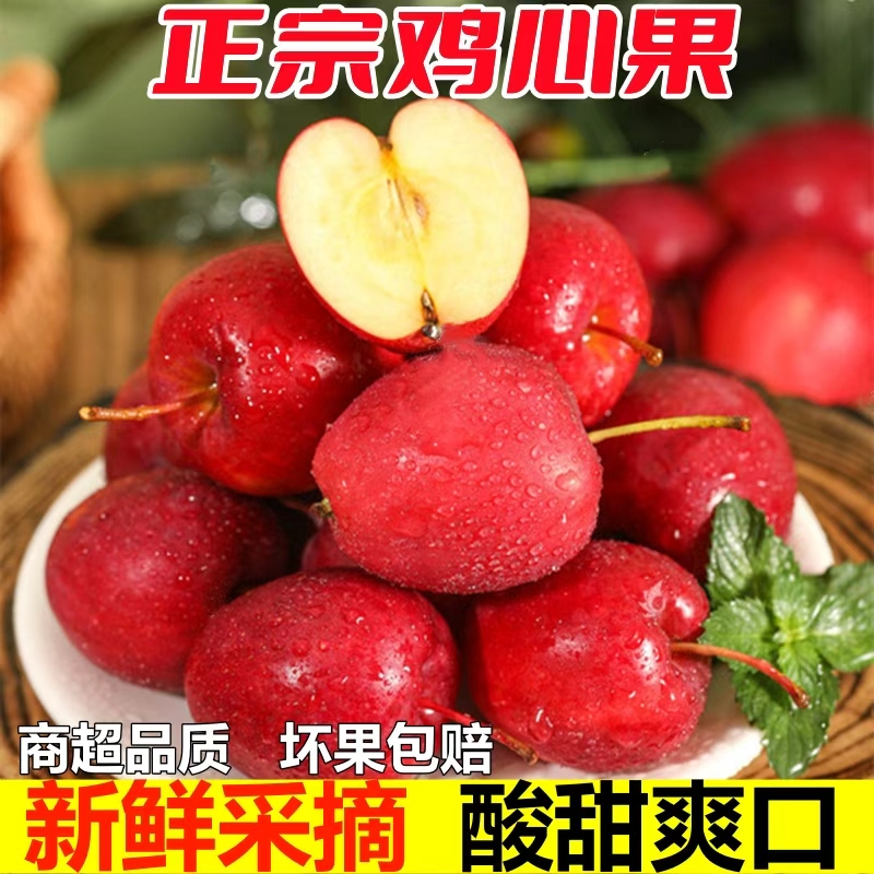 （官方特惠）东北鸡心果锦绣海棠脆甜口感 东北特产 当天采摘 