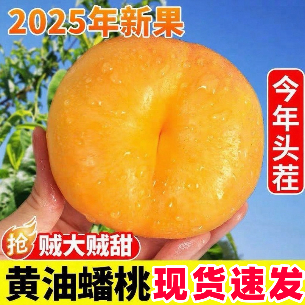【纯甜爆汁】山东蒙阴彩虹油蟠桃稀有黄油蟠桃黄心油桃扁桃新鲜桃子