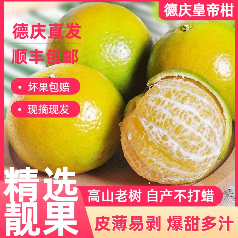 【顺丰包邮】正宗德庆皇帝柑当季现摘直供柑橘应季新鲜孕妇水果香甜