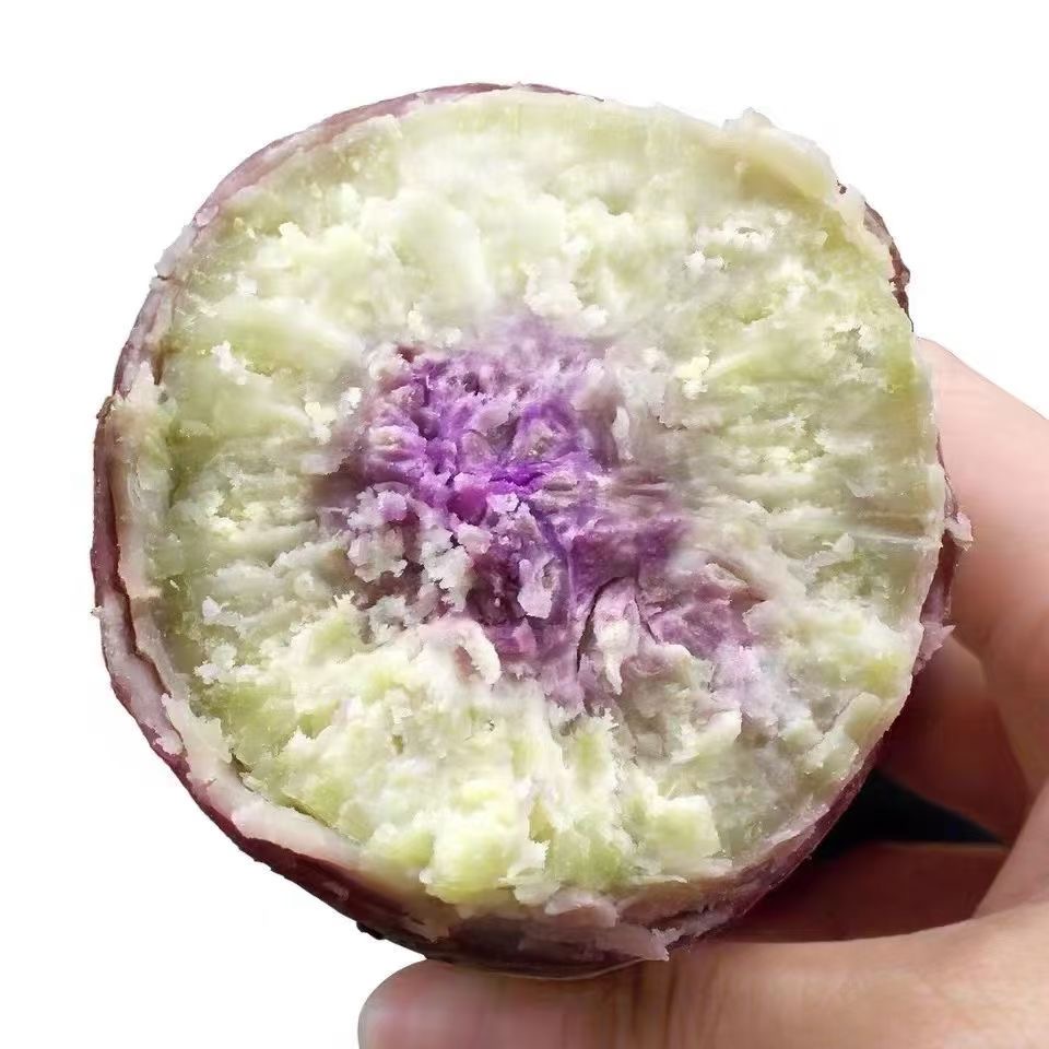 连州高山番薯西瓜红蜜薯软糯甜/一点红薯粉糯香甜