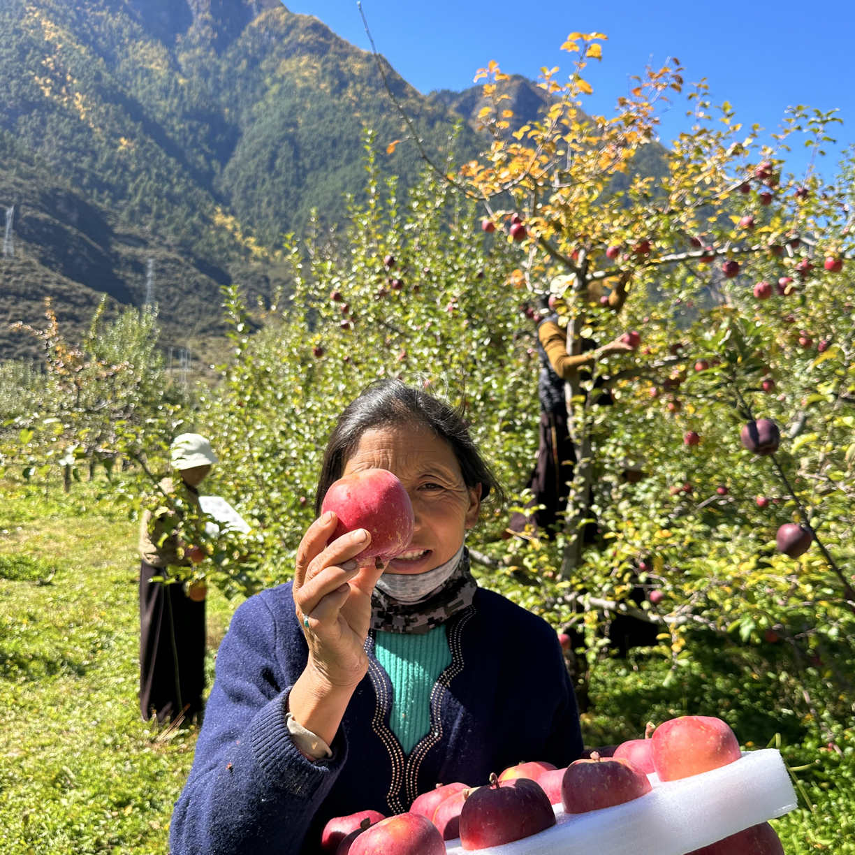林芝老百姓晚熟糖心丑苹果6斤装9斤装无农残
