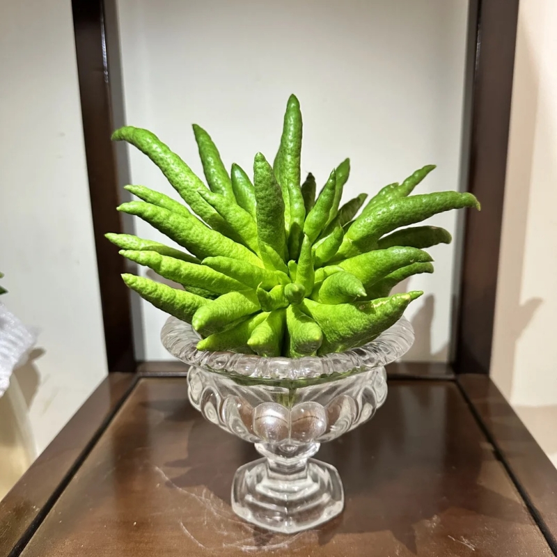 川馥四川原产佛手柑佛手果新鲜采摘现摘现发精品果实闻香清供观赏