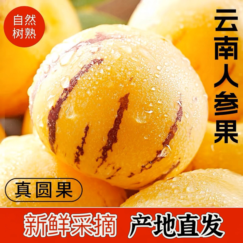 2025云南石林树熟人参果新鲜采摘清甜多汁5斤装