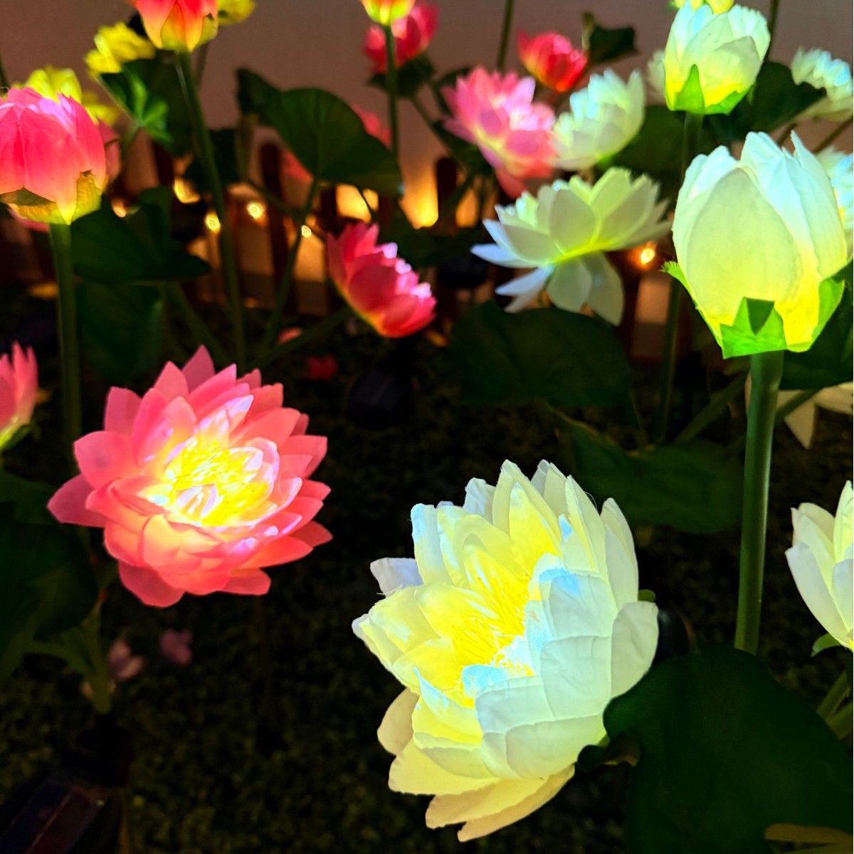 3头太阳能荷花灯LED太阳能莲花草坪地插灯节日场景布置氛围灯