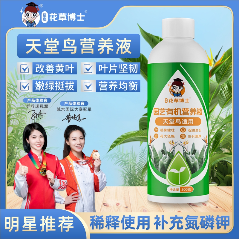 星宸花草博士天堂鸟营养液家用盆栽花卉植物通用型黄叶卷边适用肥