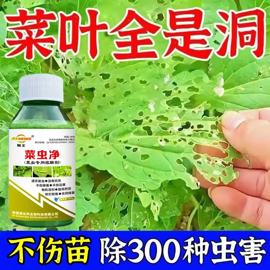 菜虫净白菜杀虫助剂强效杀蚜虫菜青虫钻心虫菜地杀虫菜青虫专用药