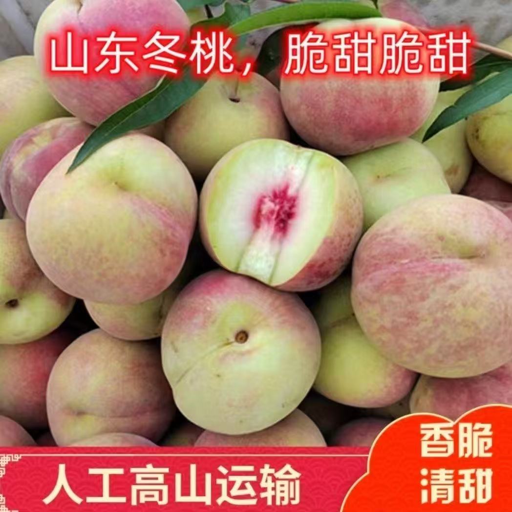 山东沂蒙山小冬桃脆甜爽口应季新鲜水果现摘现发