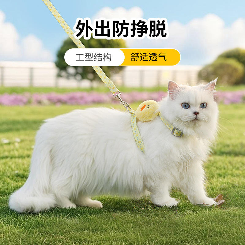 猫咪牵引绳防走丢可调节遛猫绳子幼猫外出用胸背带宠物狗用品小型