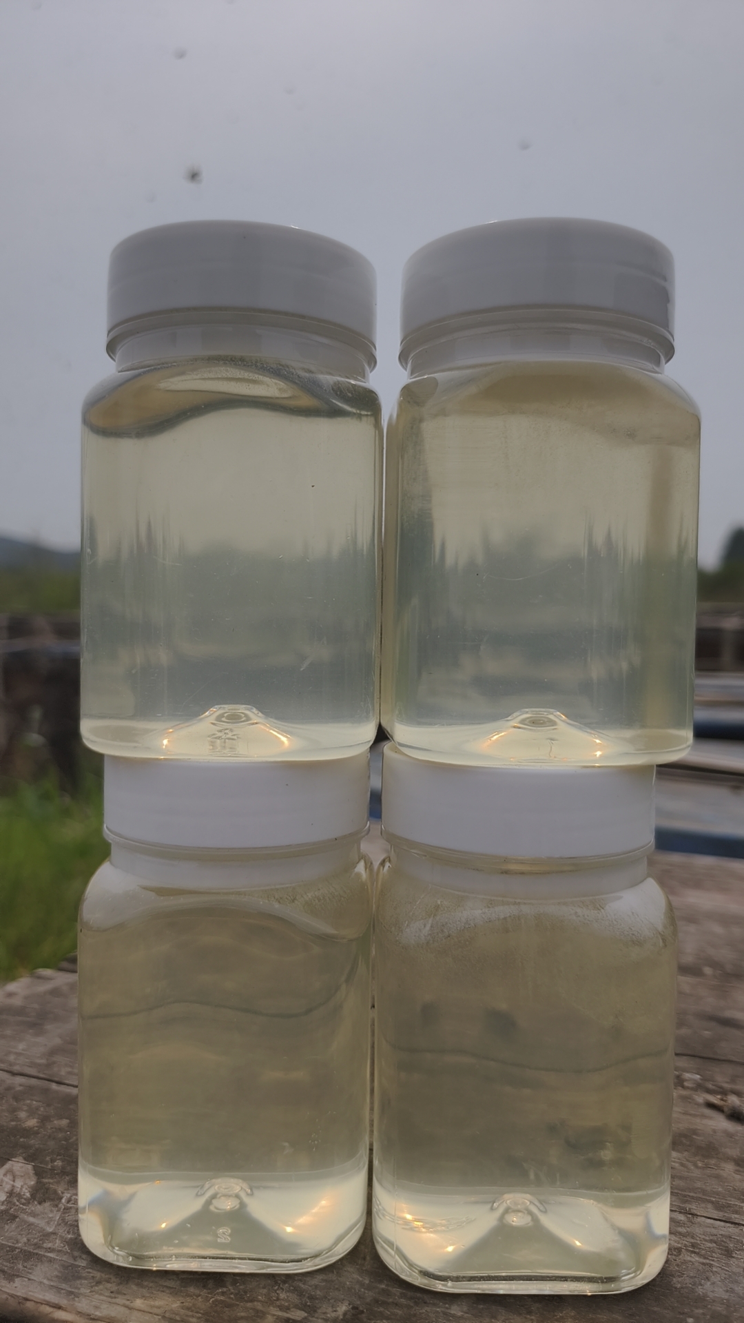 蜂农自产槐花蜜（500g*4瓶）