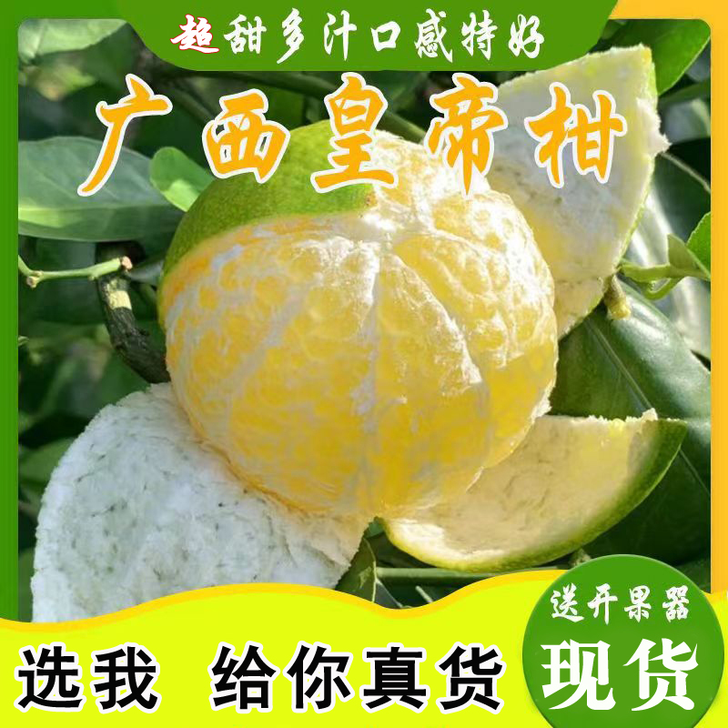 精选 正宗广西皇帝柑 贡柑当季水果桔子柑橘新鲜现摘净重3-8.5斤