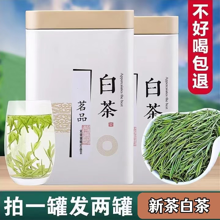 【新人福利】新茶好茶白茶春茶绿茶生态兰花香栗香小罐装原产地鲜嫩