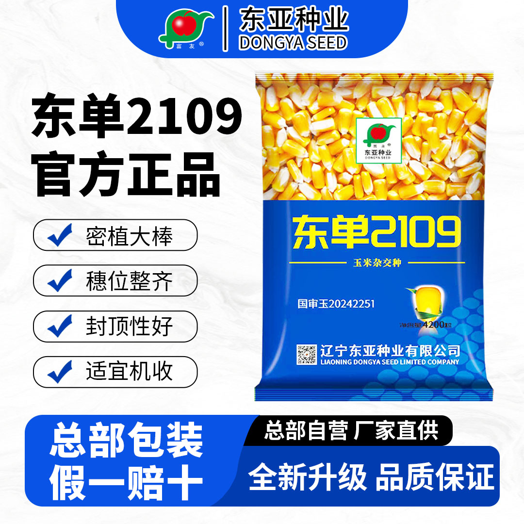 【总部直发】东亚大钢炮东单2109玉米种黄淮海夏播密植大棒粮饲通用