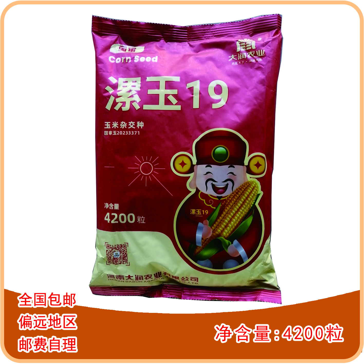 国审漯玉19玉米种，耐密植、耐贫瘠、耐高温、产量高，1袋起发。