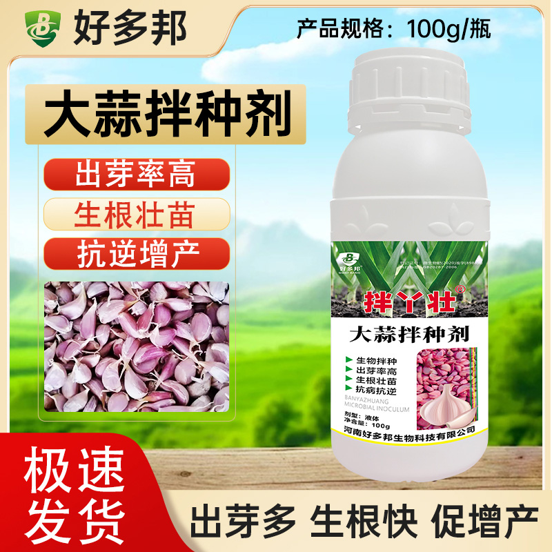 拌丫壮大蒜拌种专用剂出苗快又齐提高抗性长势健壮大蒜拌种专用