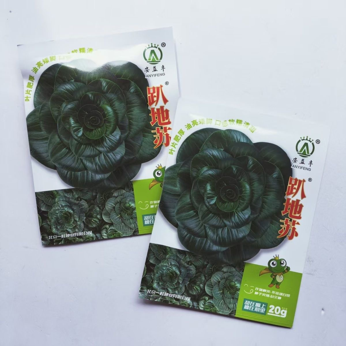 趴地苏黑叶矮脚青菜种子高产耐寒口感软糯青菜种籽
