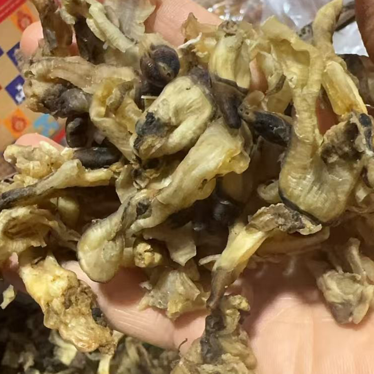 竹蛏去肚一点点微沙 通货有一点点沙(介意慎拍！)炖汤现货