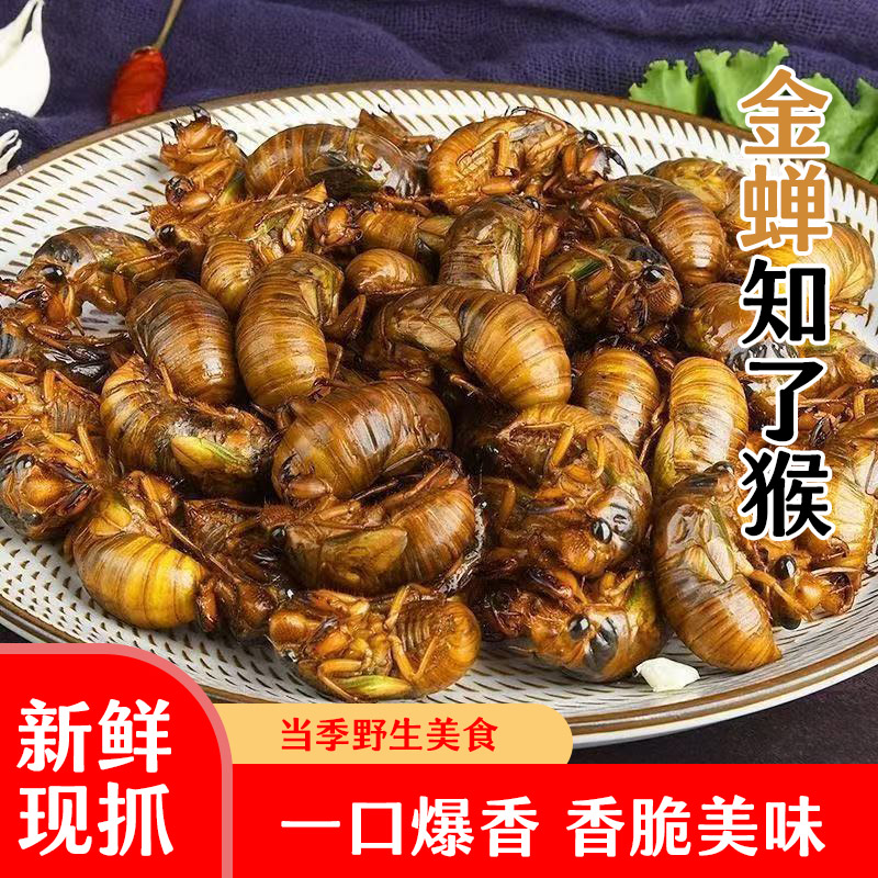 【顺丰京东发货】2025新蝉新鲜当季知了猴鲜活速冻发货爬叉