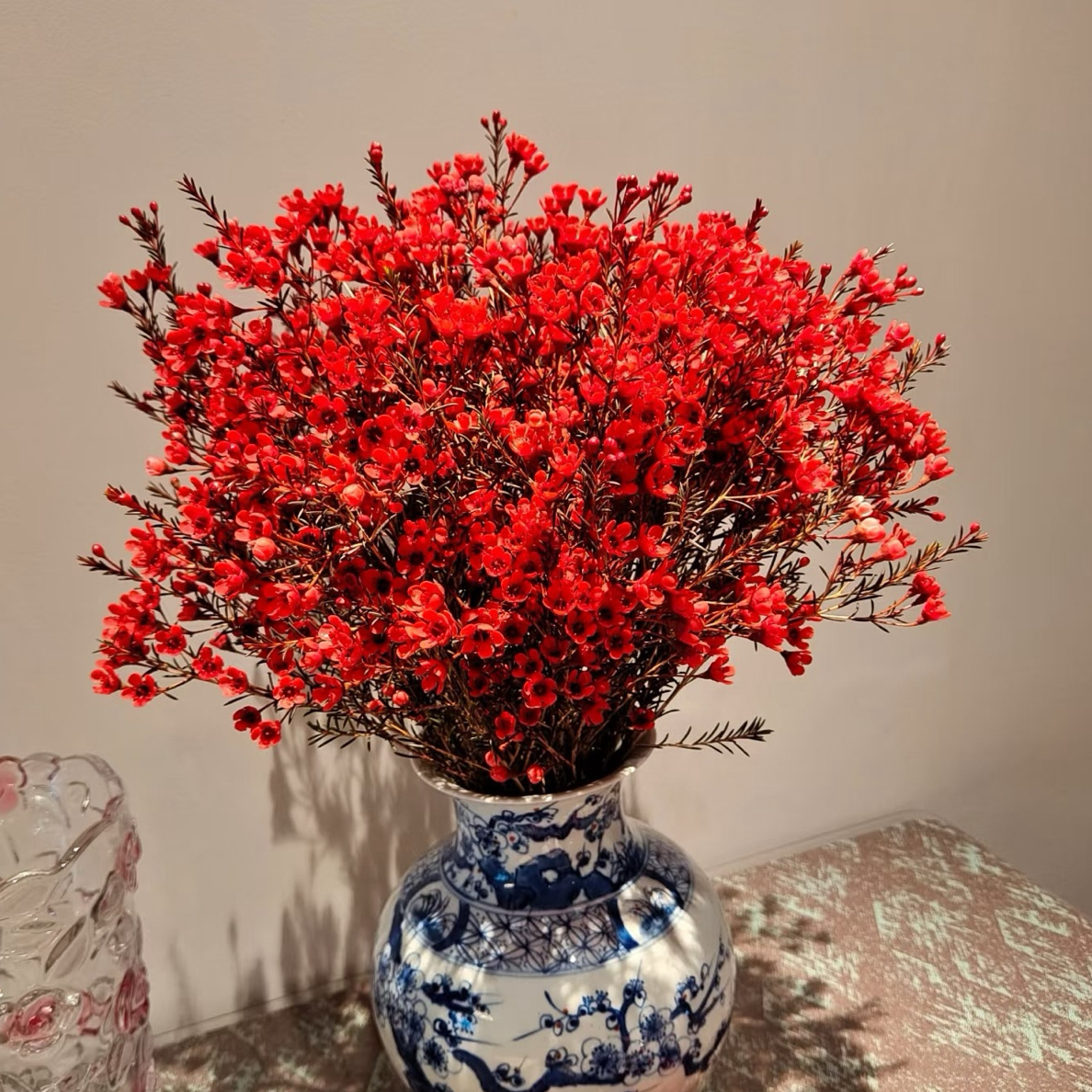 （优花阁）澳洲腊梅鲜花云南基地直发超长花期室内水养鲜切花