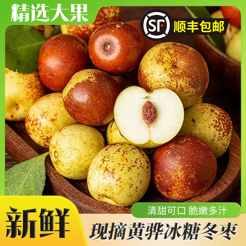 河北黄骅正宗原产地品质新鲜冬枣普通5斤包邮脆甜多汁坏果包赔