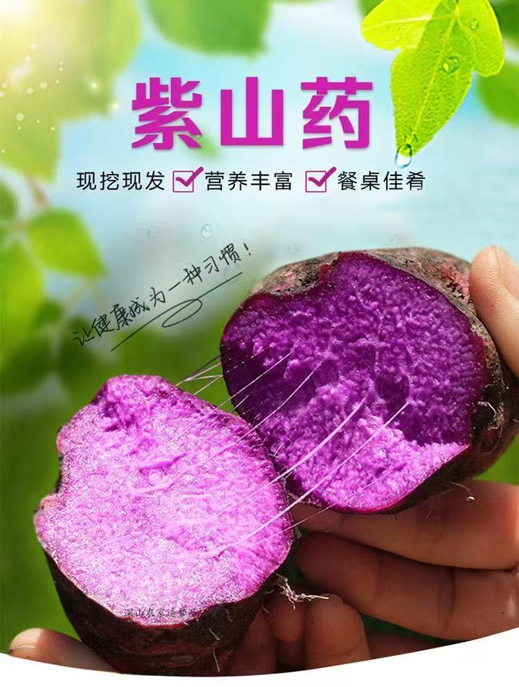 云南正宗紫山药新鲜蔬菜非铁棍怀山紫色整箱包邮
