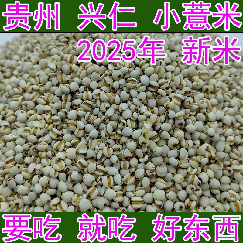 兴仁薏米仁 贵州小薏仁米 农家自产苡仁米粗粮薏米 2025新货杂粮