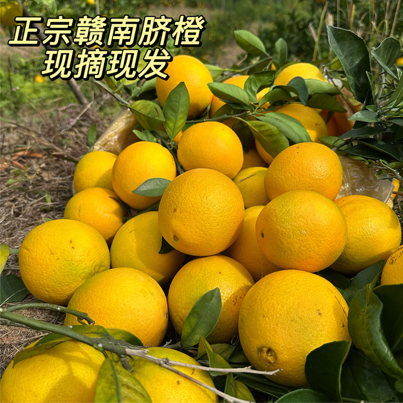 （坏果包赔）赣南脐橙农产品江西特产果园直发新鲜应季甜橙子水果