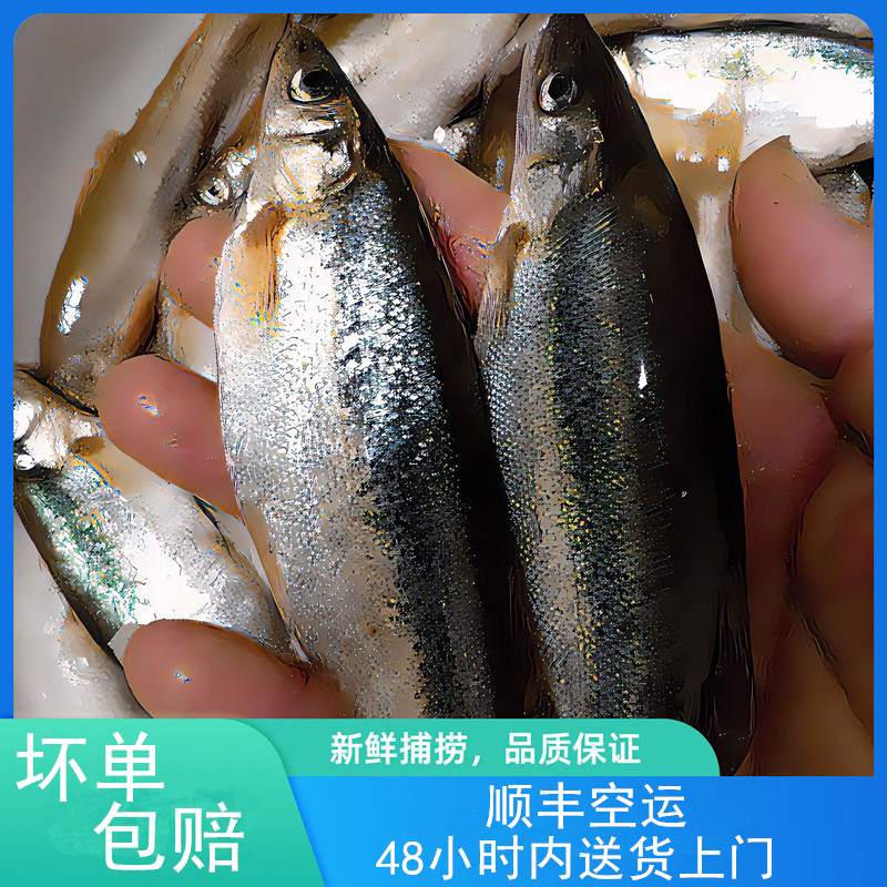 【冰鲜发货】东北柳根淡水鱼新鲜冷水柳根鱼鲜活鱼顺丰空运