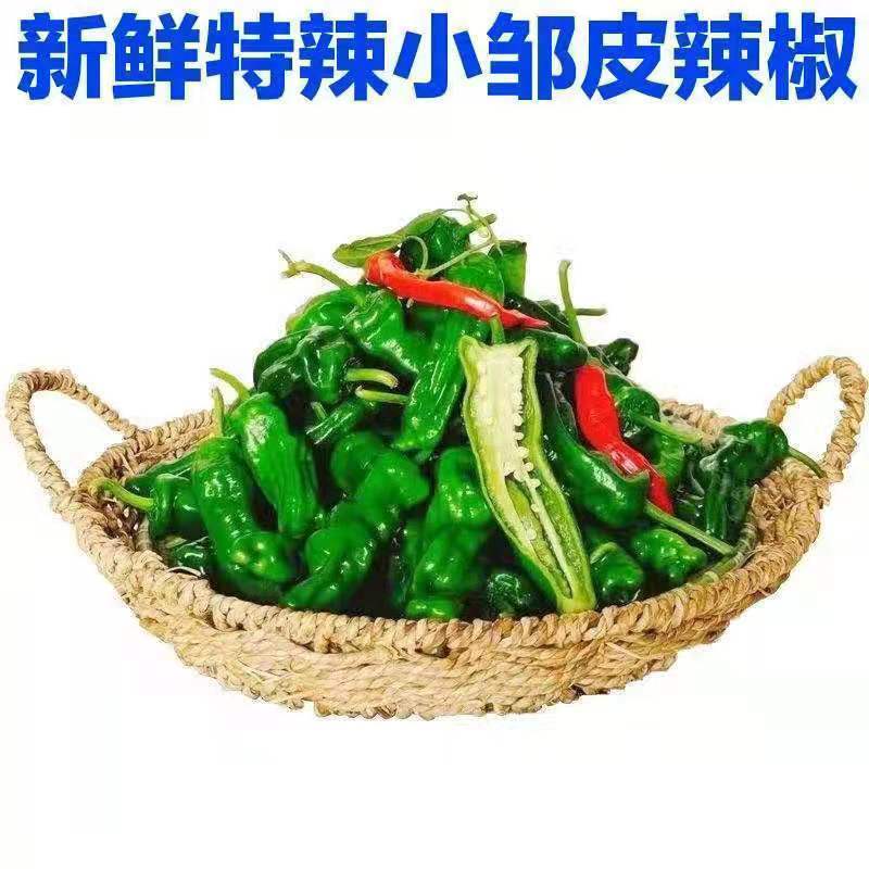 特辣小皱皮辣椒薄皮青椒新鲜蔬菜农家自种应季蔬菜产地