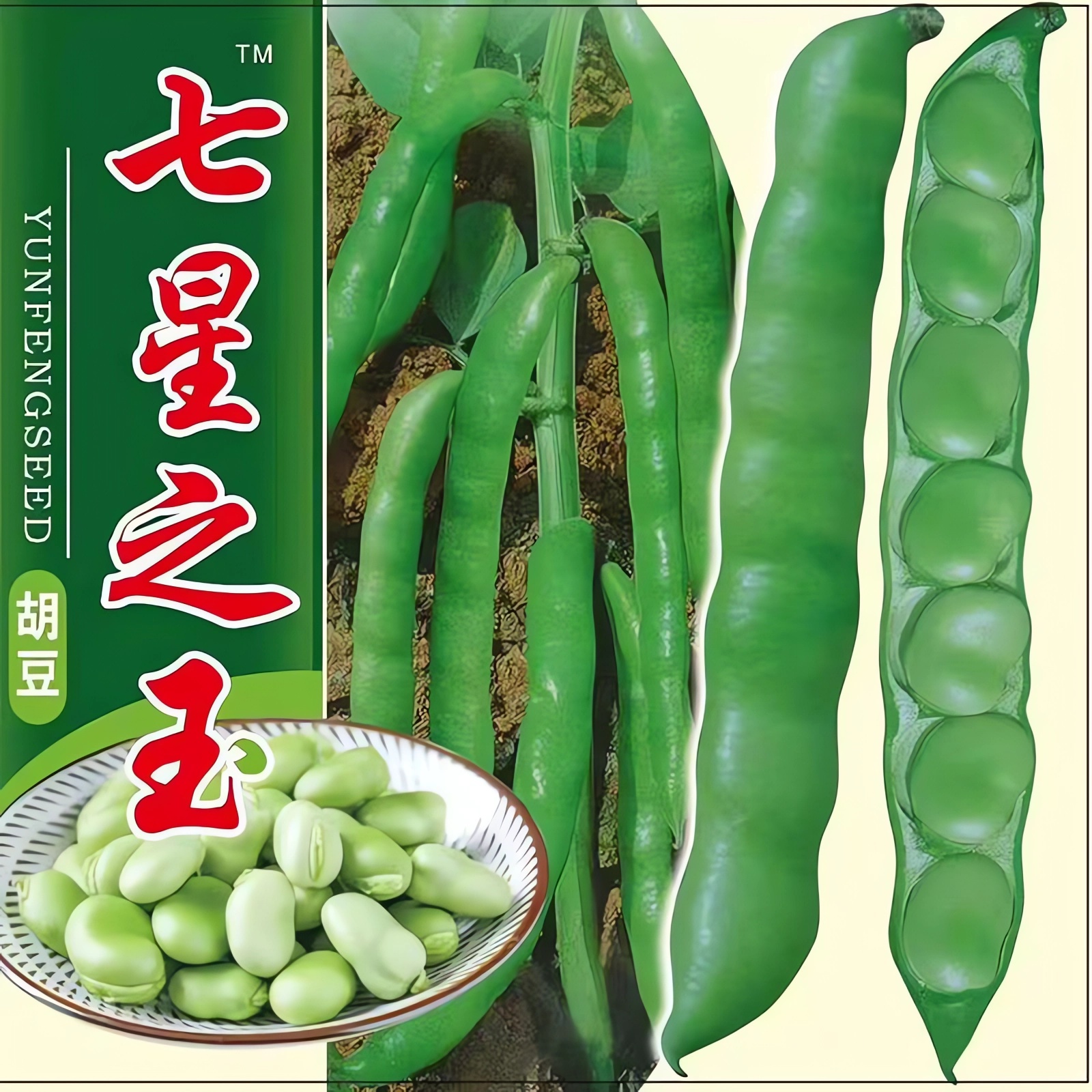 七星蚕豆种子特大蚕豆巨大号罗汉豆种籽秋冬季播种早熟耐寒胡豆籽