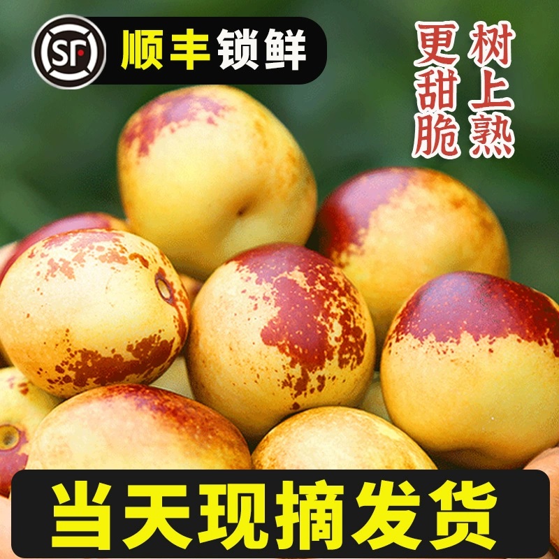 【顺丰包邮】山西庙上冬枣 酥脆爽口 现摘现发脆枣青枣当季新鲜水果