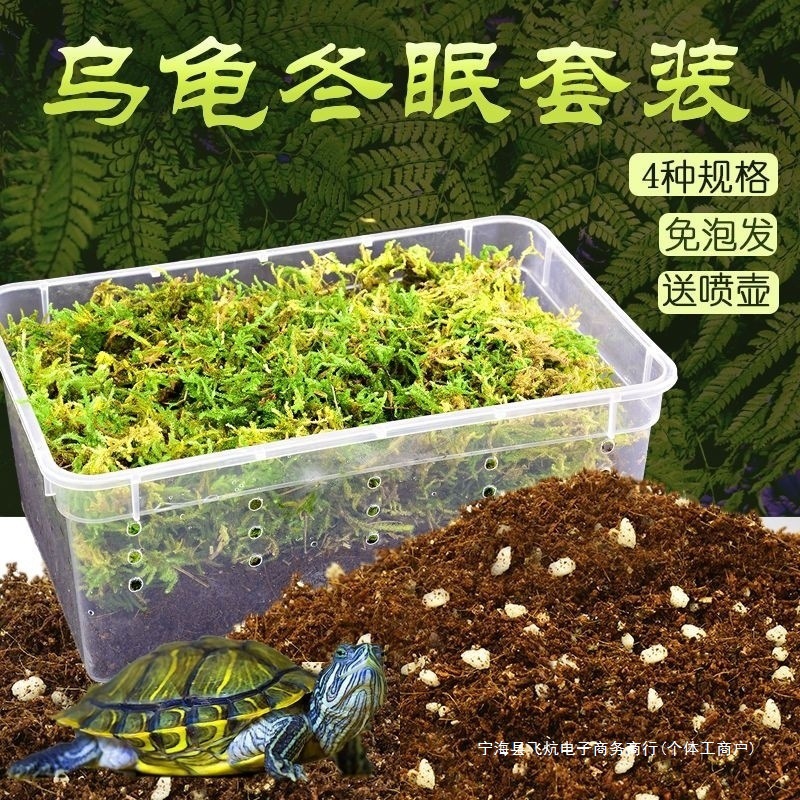 乌龟冬眠套装龟过冬椰土苔藓草沙土垫材乌龟保温饲养箱乌龟冬眠箱