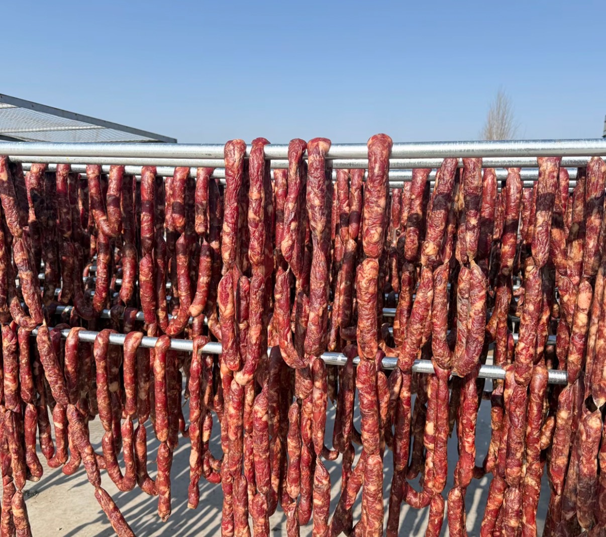 老青岛老式风干肠（灌肠熟的）