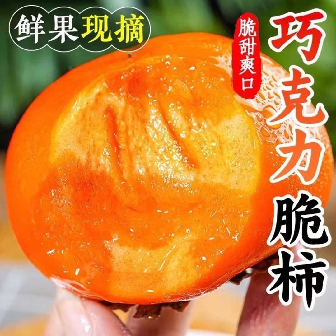 【冰糖心脆柿】2025年新鲜采摘香甜多汁山西阳丰脆柿果园直发