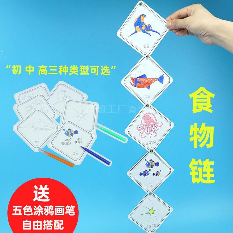 diy食物链生物链幼儿园 科学实验器材 小手工 科技小制作幼儿认识