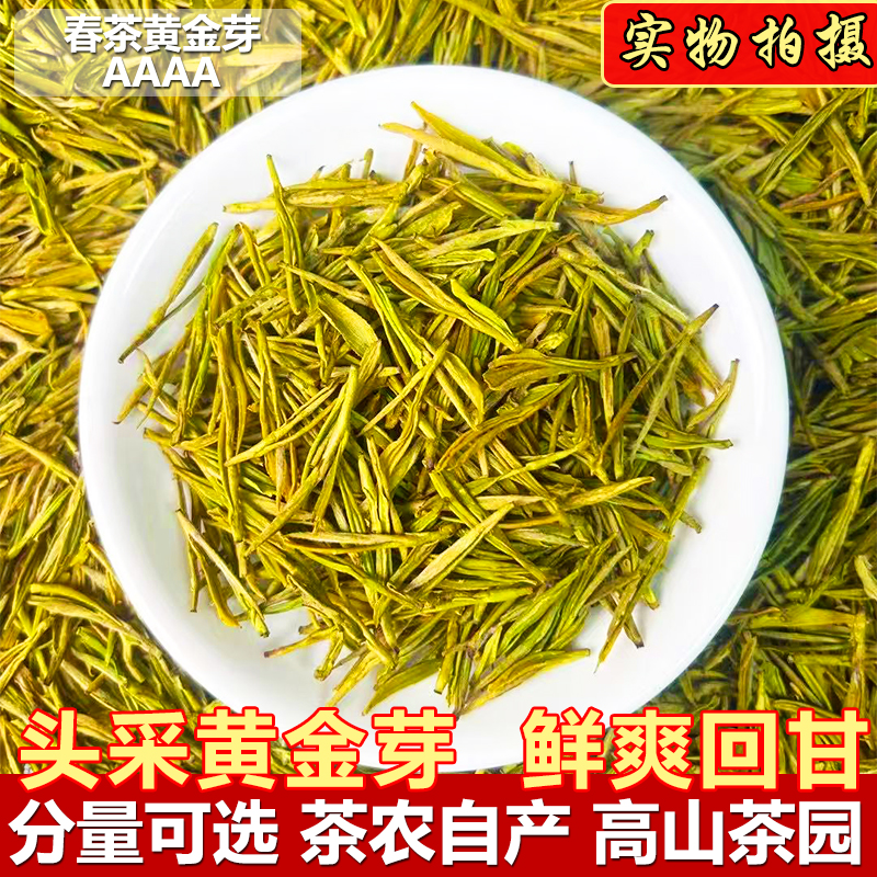 【4泡打底】短芽新茶2025年明前春茶黄金芽茶叶送人送礼口粮绿茶