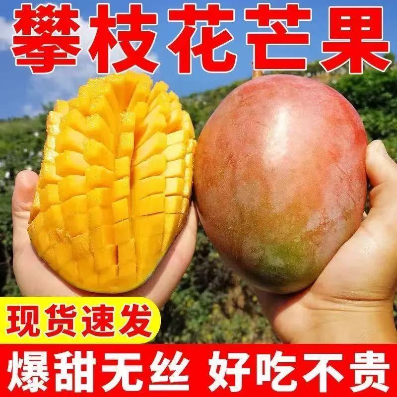 攀枝花凯特芒果特大甜心芒新鲜水果爆甜多汁现摘当季青皮芒果包邮