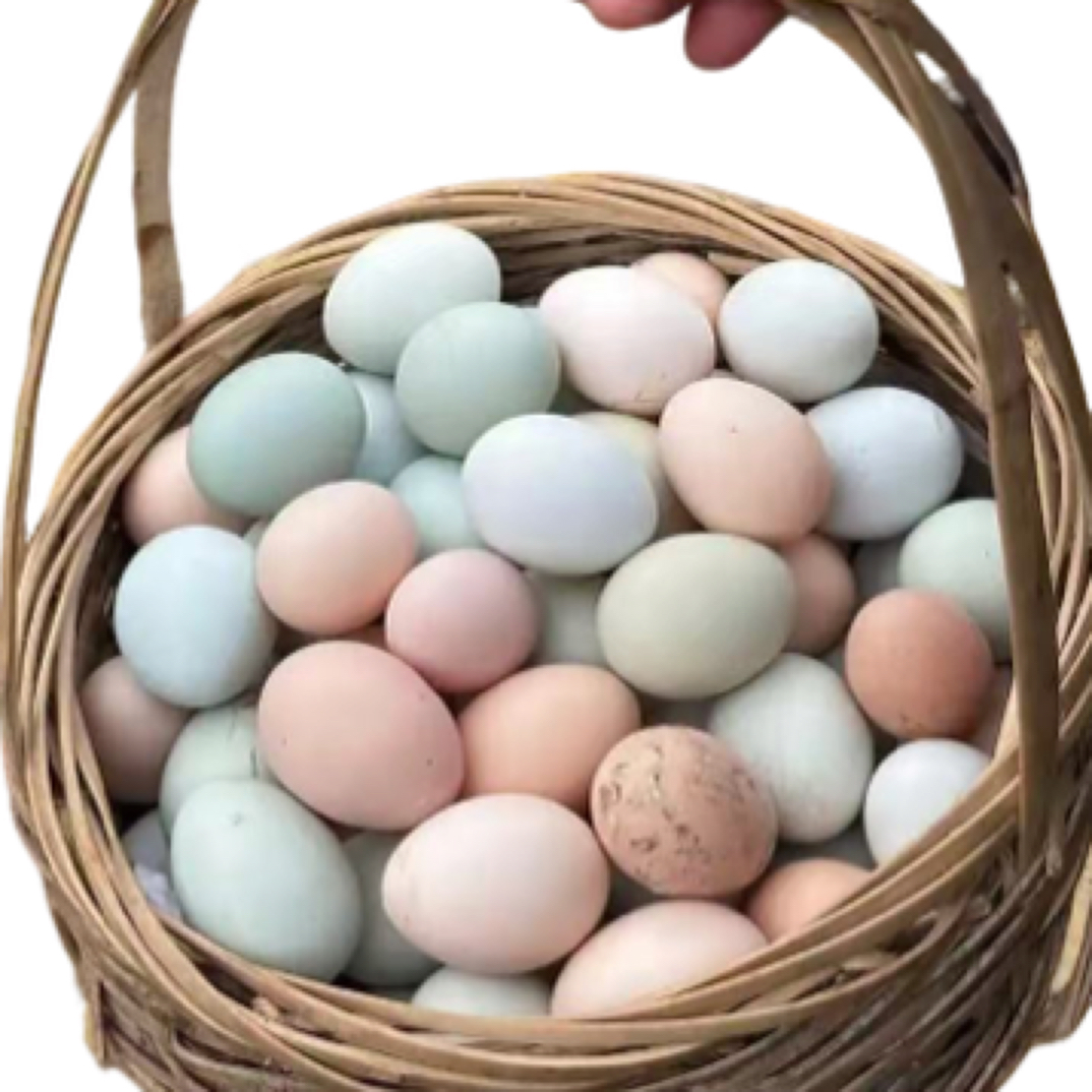 农家正宗五谷散养山鸡蛋