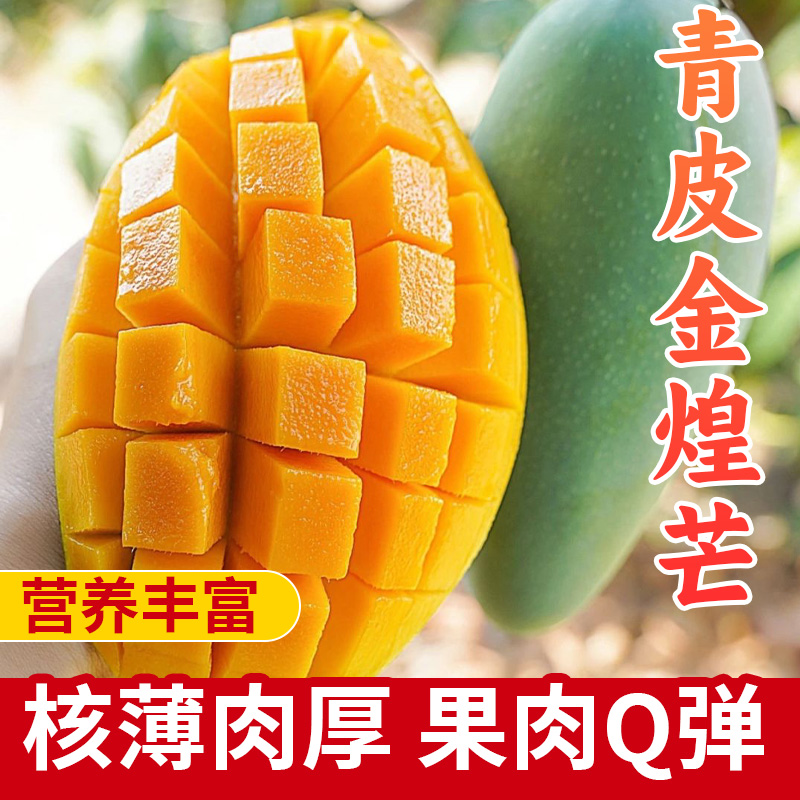 JCT3【百色青皮金煌芒】10斤装正宗广西芒果百色产地直发（催熟食用）