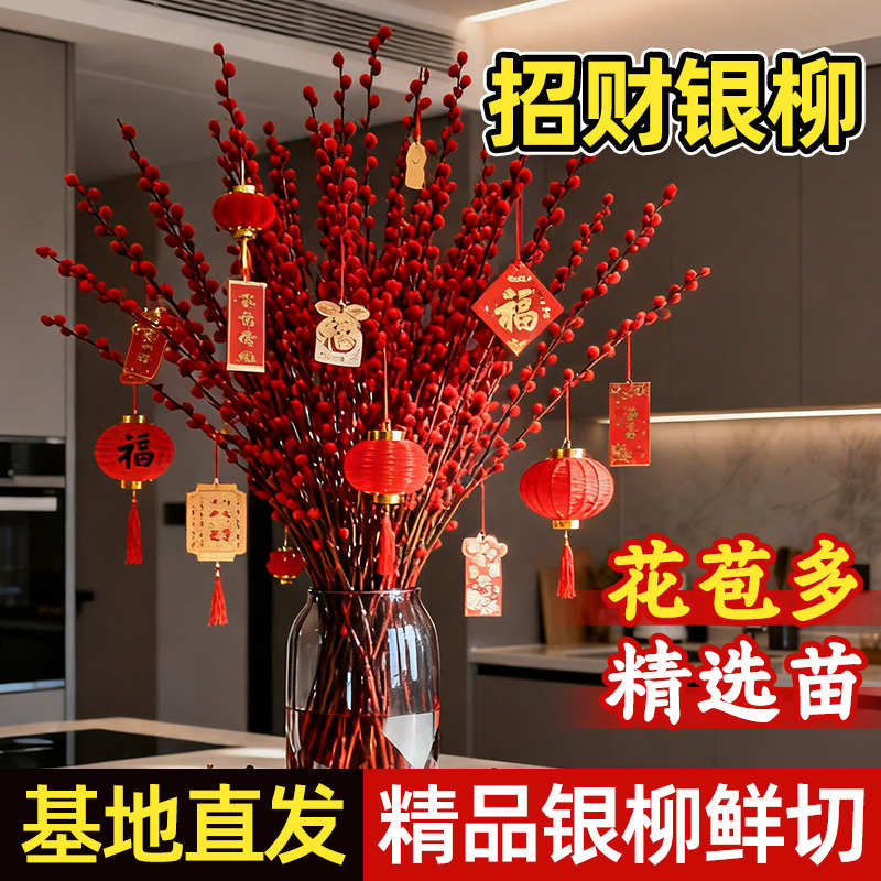 【双11新品】银柳真花鲜枝高档年宵花新年花枝室内客厅喜庆摆件绿植