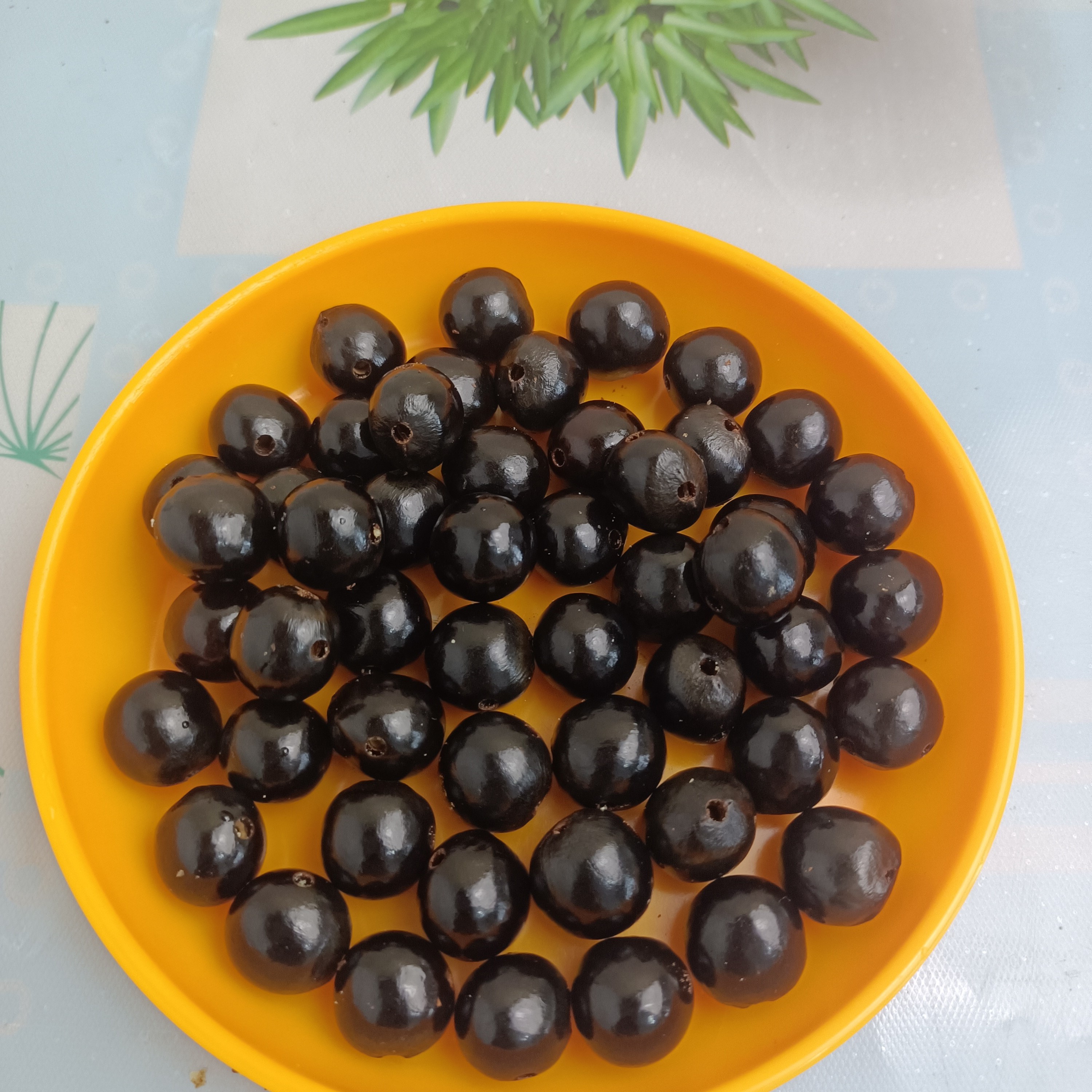 非金属木质天然无患子配珠三通无磨无修散珠配籽不含佛头