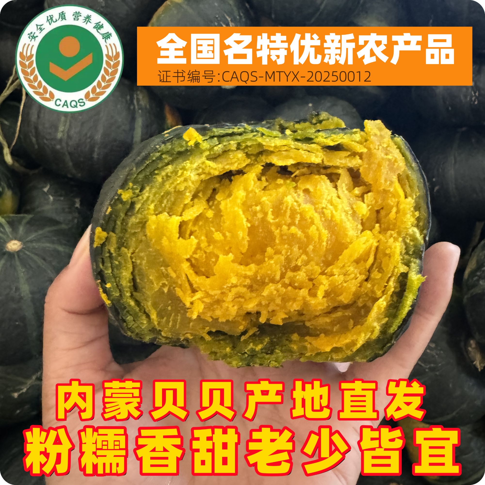 【粉丝福利】F内蒙头茬露天贝贝南瓜软糯香甜板栗味贝贝南瓜