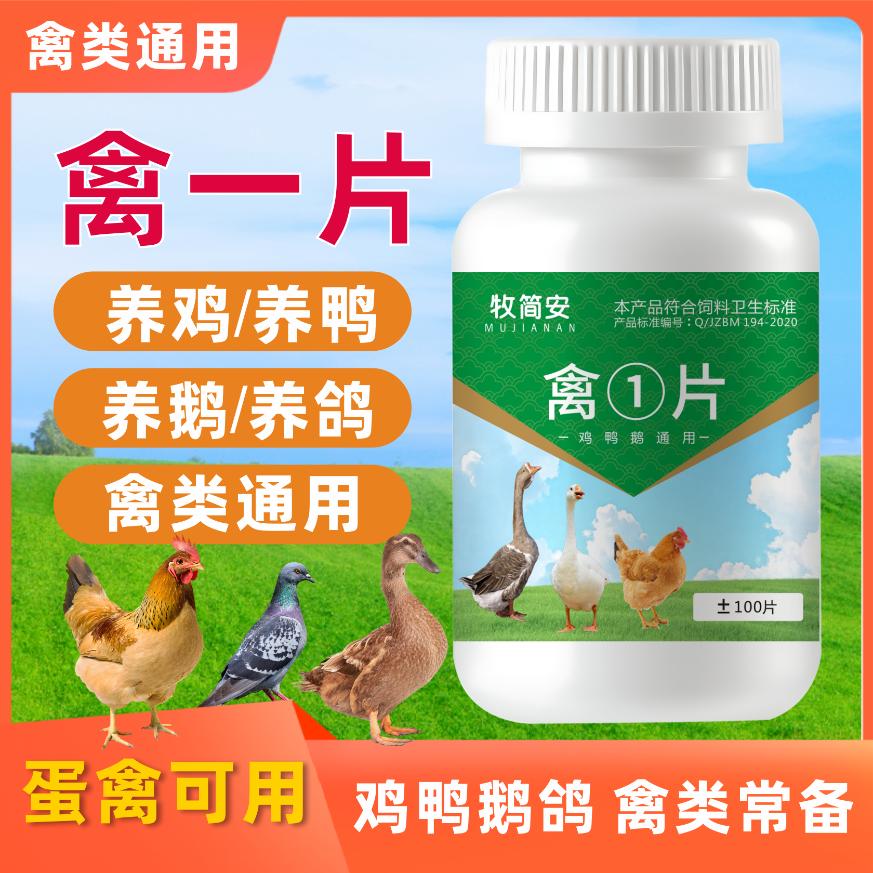 【禽一片】鸡鸭鹅鸽子鹌鹑禽类养殖通用饲料添加剂厂家直销