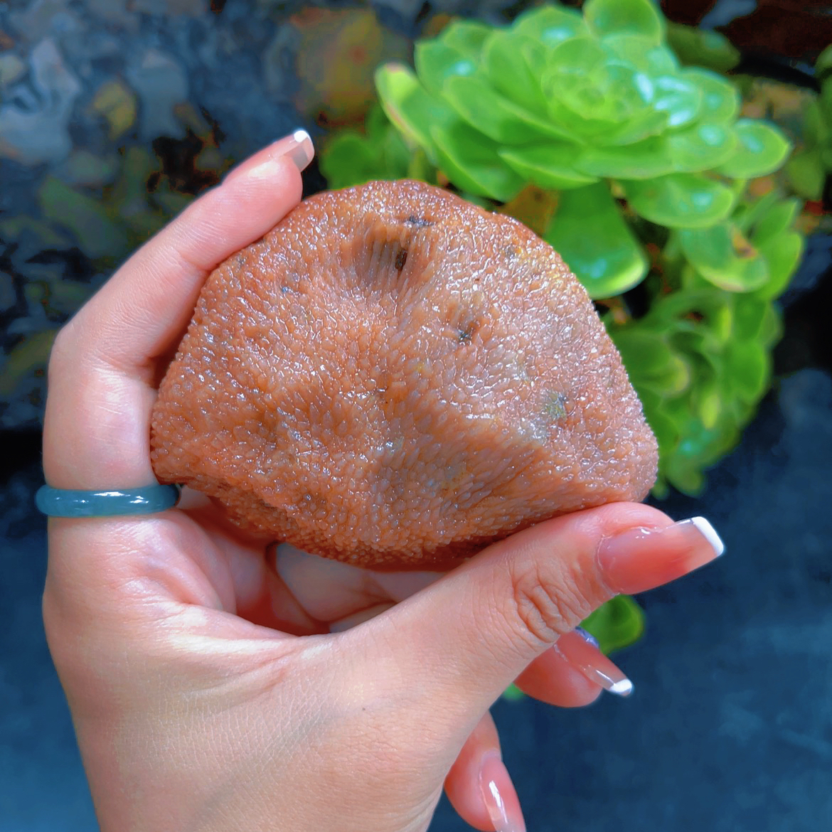 20-499多彩观赏石原石标本、摆件、饰品，直播间截图一物一拍