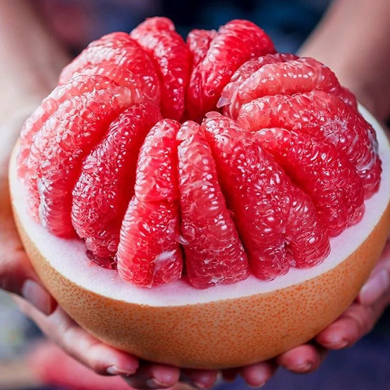 【拒绝假货】杨福建当季新鲜水果平和红心蜜柚4-9斤当天采摘