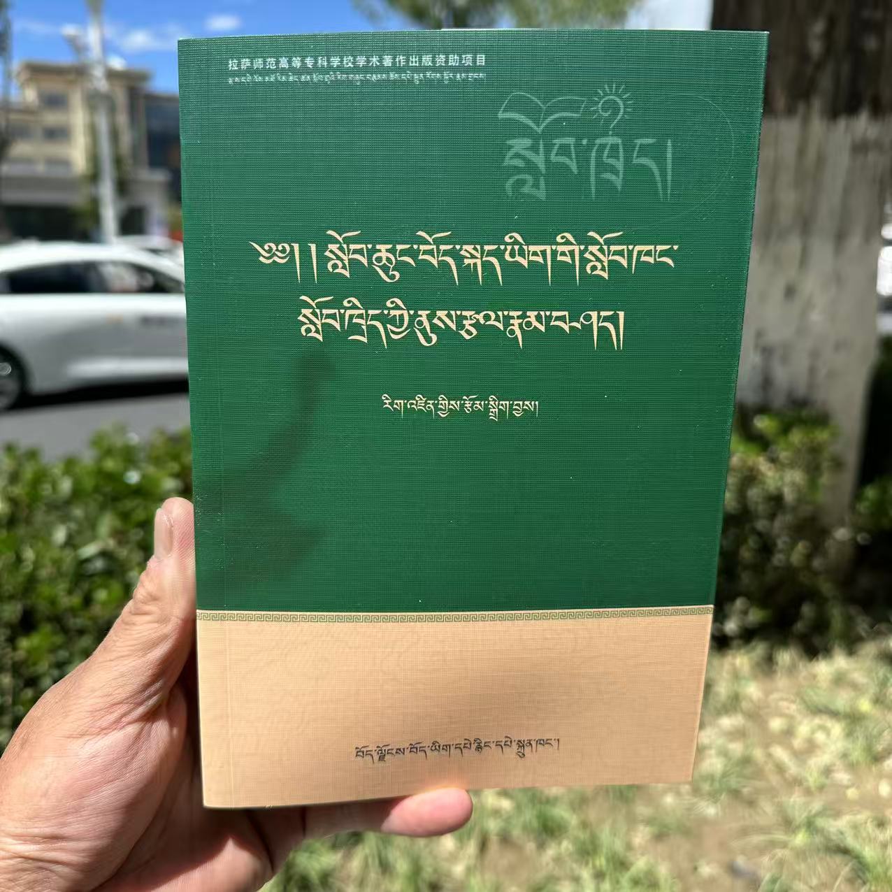 小学藏语文课堂教学技能研究