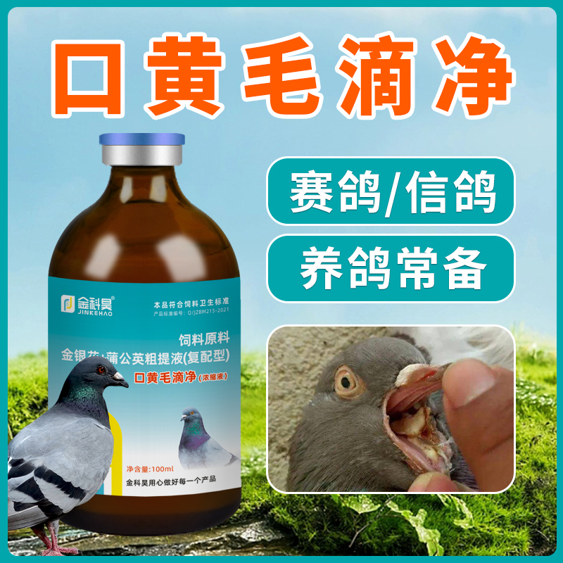金科昊口黄毛滴净浓缩液赛鸽信鸽飞禽鸽舍养殖常备饲料添加剂