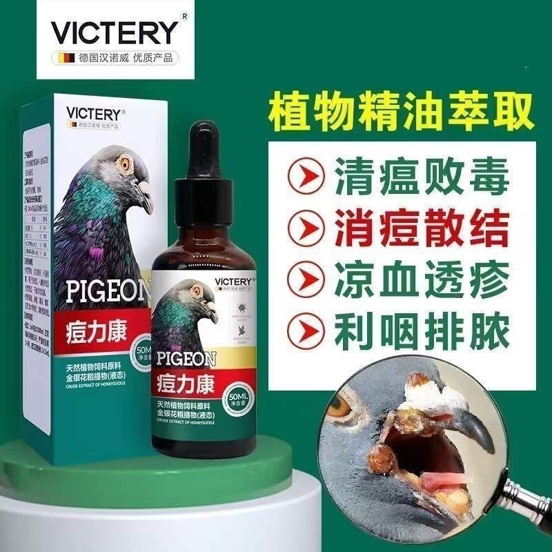 汉诺威痘力康 赛鸽信鸽鸽子用品